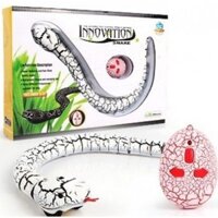 Động vật điều khiển -  rắn  điều khiển -con vật rừng rậm Amazon