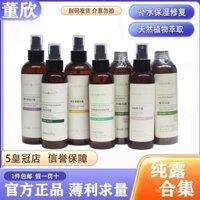 Dongxin Trà hoa oải hương, hoa cúc, chanh, cỏ roi ngựa, hoa hồng, cây trà, hoa osmanthus, bạc hà, nước hoa