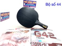 Donic Black Devil + Rakza 9 + Hera