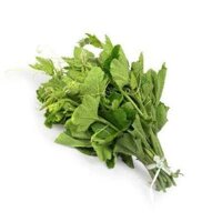 Đọt bí đỏ hữu cơ - CU841314
