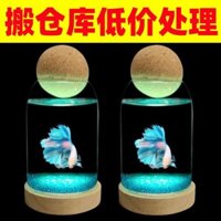 Douyu Tank Ultra-White Glass Tank trong suốt Bàn tròn Top nhỏ Máy tính để bàn vàng Mini Gold Fish