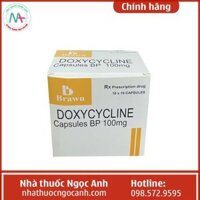 Doxycycline 100mg Brawn