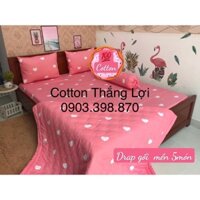 Drap cotton thắng lợi