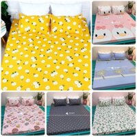 Drap Giường  Bộ Ga Gối (Ga Trải Giường) 💖 Drap + 2  Vỏ Gối Hot Trend 2020