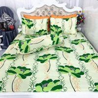 Drap giường thun Hàn Quốc