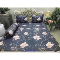 Drap Lụa Tencel Mẫu 12