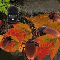 Dreamforest Điều Khiển Từ Xa Gián Giả RC Đồ Chơi Prank Côn Trùng Trò Đùa Đáng Sợ Lừa Đồ Chơi L3R2
