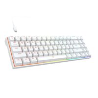 DREVO Calibur V2 TE RGB 60% Wired Mechanical Gaming Keyboard, 71-Key Small Compact, Work for PC/Mac, Detachable USB Type-C, Outemu Red Switch,White...