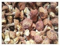 Dried Agaricus Blazei Premium Grade 310 Gram