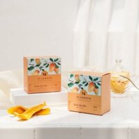 DRIED MANGO 100G