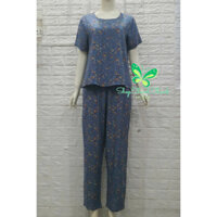 (Dro) Size 1 2 3 4 5  Quần DÀI cổ TRÒN Trung Niên Đồ bộ Mặc nhà Tôn Lanh Nhung Big Size ShopThanhThanhHCM