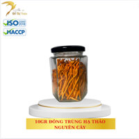 [DTT] 10 gram đông trùng hạ thảo sấy thăng hoa các loại - Yến sào Đỗ Thị Toán