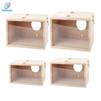 Dù cao cấp có cửa sổ quan sát - Nhà chim treo cho vẹt Cockatiel