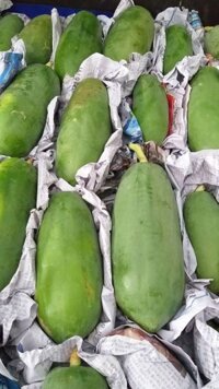 Đu đủ xanh chưng tết