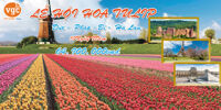 Du lịch Châu Âu 4 nước : Lễ hội Hoa Tulip Pháp - Bỉ - Hà Lan - Đức 10N9Đ