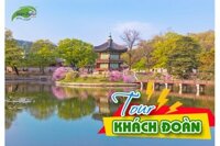 Du lịch Hàn Quốc Seoul - Nami - Everland - Ngắm hoa anh đào khách đoàn