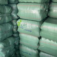 Dừa cục size 1cm, hàng thô chất lượng cao, kiện ép 100L