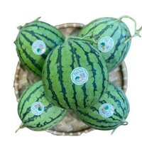 Dưa hấu có hạt hữu cơ Quế Lâm - 1kg
