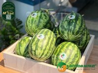 Dưa Hấu Hữu Cơ Quế Lâm