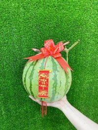 Dưa hấu không hạt 2024
