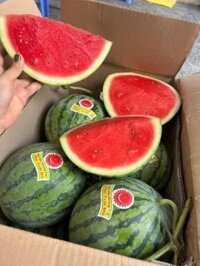 Dưa hấu không hạt