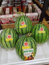 Dưa hấu không hạt