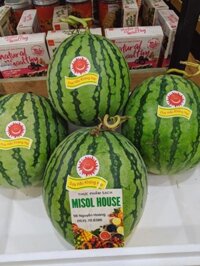 Dưa hấu không hạt