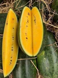 Dưa Hấu Ruột Vàng -kg
