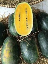 dưa hấu ruột vàng
