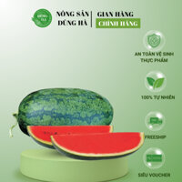 Dưa hấu Sài Gòn - Vỏ mỏng, mọng nước, ngọt mát