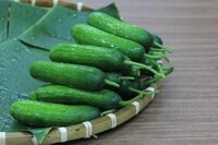 Dưa leo baby -1kg