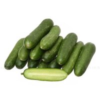 DUA LEO BABY 500 VPP