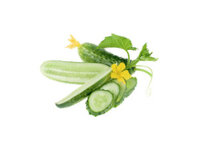 Dưa leo baby Đà Lạt