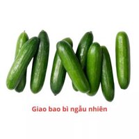 Dưa leo baby Hà Lan Đà Lạt GlobalGAP vỉ 500g (1 Vỉ)