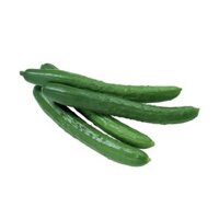 Dưa leo giống Hà Lan PTFARM phần 350Up