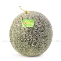 Dưa lưới giống Nhật ruột xanh 1.5kg