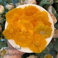 Dứa sấy dẻo 500g