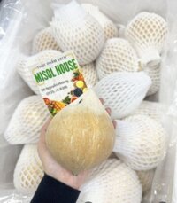 Dừa xiêm gọt trọc Bến Tre 10 quả/130k