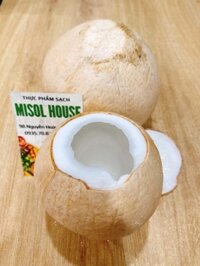 Dừa xiêm gọt trọc Bến Tre