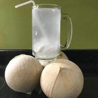 Dừa xiêm gọt trọc Bến Tre (2020)