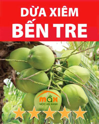 Dừa Xiêm xanh Bến Tre gọt sẵn