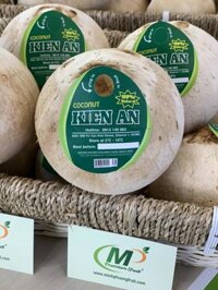 Dừa Xiêm Xanh Bến Tre Gọt Trọc - Green Siamese Coconut
