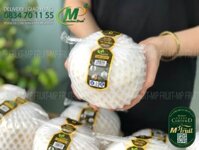 Dừa Xiêm Xanh Bến Tre Xuất Khẩu | Mekong Fresh Fruit