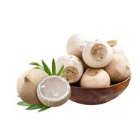 Dừa xiêm xanh Coco Meko