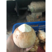 Dừa xiêm xanh gọt trọc Bến Tre Coconut Shop,combo 10 trái size 400-500gr