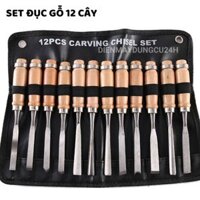 Đục bonsai, BỘ 12 cây đục gỗ điêu khắc làm cây cảnh bonsai thép sk2