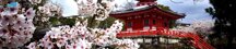 Vỏ gối Hàn Quốc Everland 05