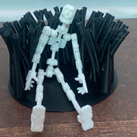 [Dummy 13] Mô Hình Bộ Xương Skeleton Dummy | Space Toys