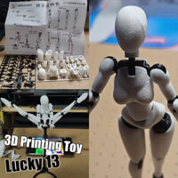 Dummy T13 Body Girl 3D In May Mắn 13 Body Chan Nhân Vật Hành Động DIY Lắp Ráp Đồ Chơi Mô Hình
