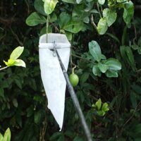 Dụng cụ bao trái cây trên cao 3m